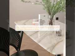 High Chemical Resistance White Indoor Porcelain Tiles with Low Water Absorption in White