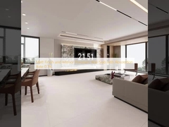 Matt Finish and Interior Porcelain Wall Slab with Absorption Rate 0.1%