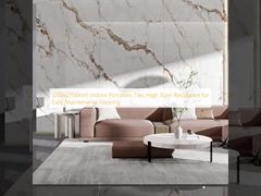 1200x2700mm Indoor Porcelain Tiles High Stain Resistance for Easy Maintenance Flooring