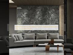 AAA Grade Indoor Porcelain Tiles with High Stain Resistance and L/C Payment Team