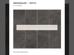 Stylish Indoor Porcelain Tile Panels in White for Durable Flooring Solutions