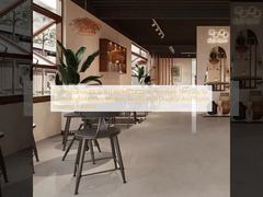 Slipresistance R9 To R11 Rating Modern Porcelain Tile Easy To Clean And Maintain Modern Simple Style Durable And Stylish Flooring Solution