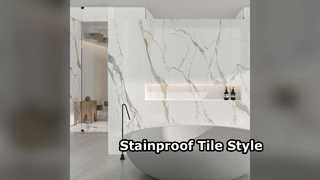Stainproof Porcelain Tile for Modern Homes
