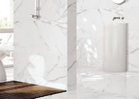 Renewable Marble Look Porcelain Tile Acid Resistant Fine Air Permeability 24x48 Porcelain Tile