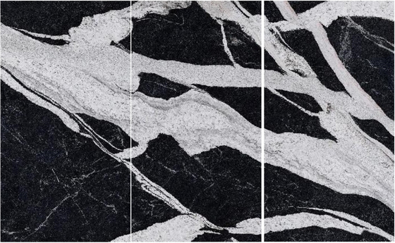 Versace Senior Black Colour Marble Slab Polished Granite Floor Tiles Slab Stone Countertops 1200*2700*6mm