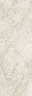 Matt Grey Marble Floor Slab Tile Fish Ash 1600*3200mm Interior Decor