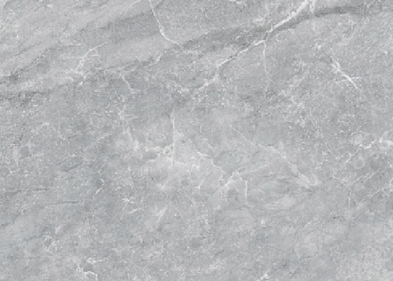 Easy Maintenance Indoor Porcelain Tiles Scratch Resistance For Office Size 800*800mm