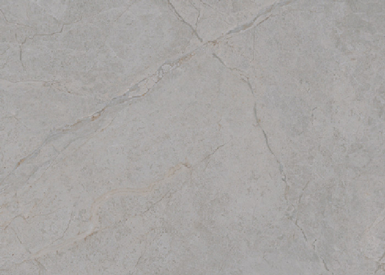 Elegant 6 Pattern Marble Look Ceramic Floor Tile With Water Absorption 0.5%