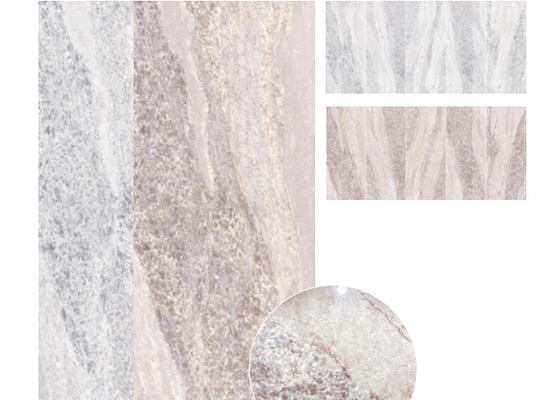 Easy Maintenance and Stain Resistance for Indoor Porcelain Stoneware Tiles