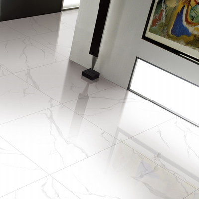 Hotel Indoor Porcelain Tiles Stain Resistance 600*600mm Size For Your Requirements