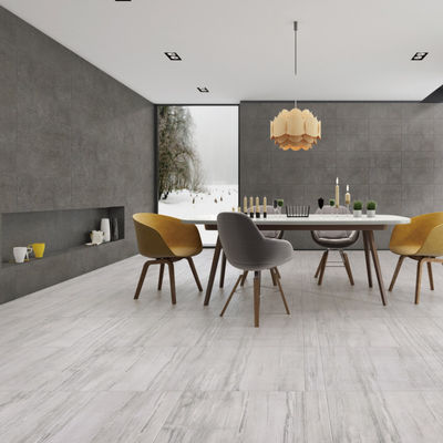 Easy Maintenance Indoor Porcelain Tiles with Water Absorption 0.5% Stain Resistance