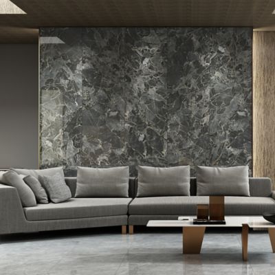 AAA Grade Indoor Porcelain Tiles with High Stain Resistance and L/C Payment Team