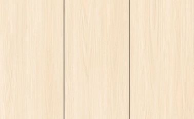 Marble Digital Design Indoor Porcelain Tiles 300*600 mm / Ceramic Wall Tile