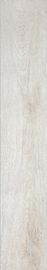 Wear Resistant Indoor Porcelain Tiles For Living Room , Kitchen Wall