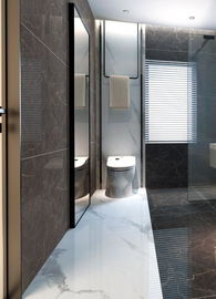 750*1500mm Wall Non Slip Durable Porcelain Tile High Precision Decorative