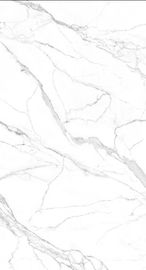 Matt Surface 1200*2400 Big Slab Floor Tile White Color Hot Sales Indoor Porcelain Tile In Stock