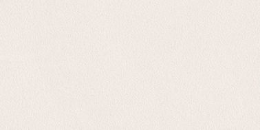 600x1200mm Polished Finished Nano Vitrified Thin Porcelain Tiles Indoor Porcelain Tiles