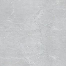 Bathroom Kitchen Matt 10mm 60*60cm Modern Porcelain Tile