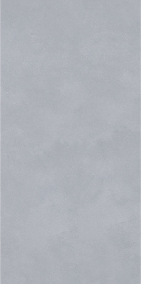 Wear Resistant Indoor Porcelain Tiles  750x1500mm For Dining Room
